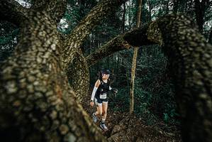 BIB: 
                            <button type="button" onclick="openModal(25703135)" class="btn btn-primary btn-sm float-right btn-popup" data-toggle="modal" data-target=".modal-high-quality">
                        <i class="fas fa-shopping-cart"></i> Add to Cart
                    </button>
                                            <button type="button" onclick="isThisMe(25703135, true)" class="btn btn-success btn-sm float-right btn-popup btn-isme hidden" data-toggle="tooltip" data-placement="bottom" title="นี่คือรูปของคุณใช่ไหม คลิกที่นี่เพื่อเอาเข้าอัลบั้ม">
                        <i class="fas fa-plus"></i> Add to album
                    </button>
                    <button type="button" onclick="isThisMe(25703135, false)" class="btn btn-warning btn-sm float-right btn-popup btn-isnotme hidden">
                        <i class="fas fa-ban"></i> Remove from album
                    </button>